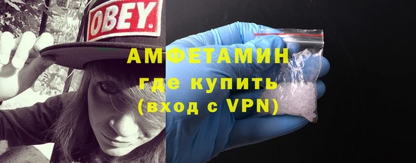 сатива Беломорск