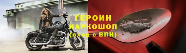 сатива Беломорск