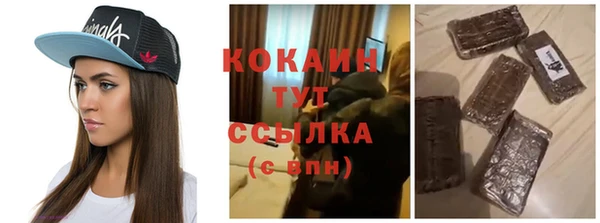сатива Беломорск