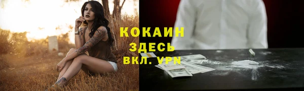 сатива Беломорск